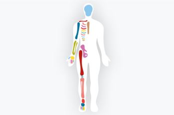 Orthopaedics