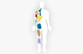 Advanced Wound Management